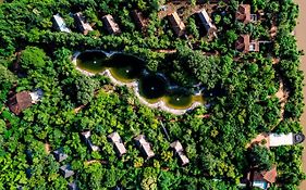 Tendu Leaf Jungle Resort Panna