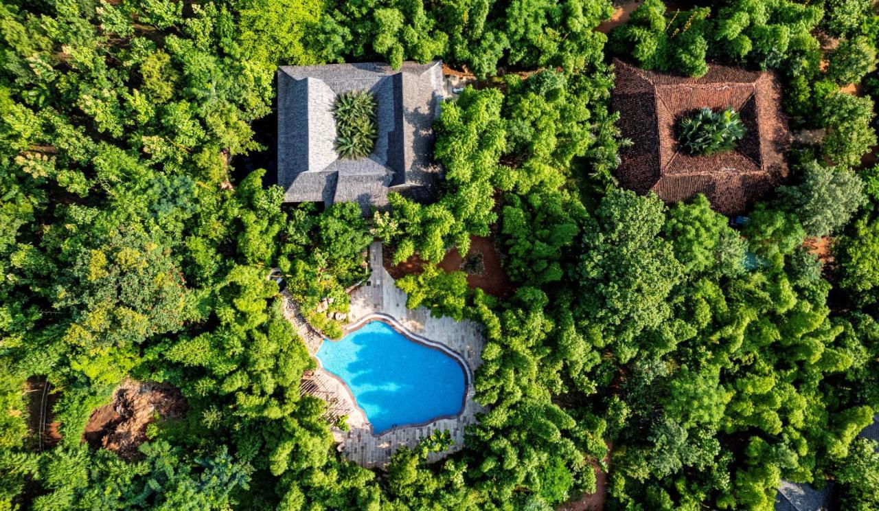 Tendu Leaf Jungle Resort Panna Exterior photo